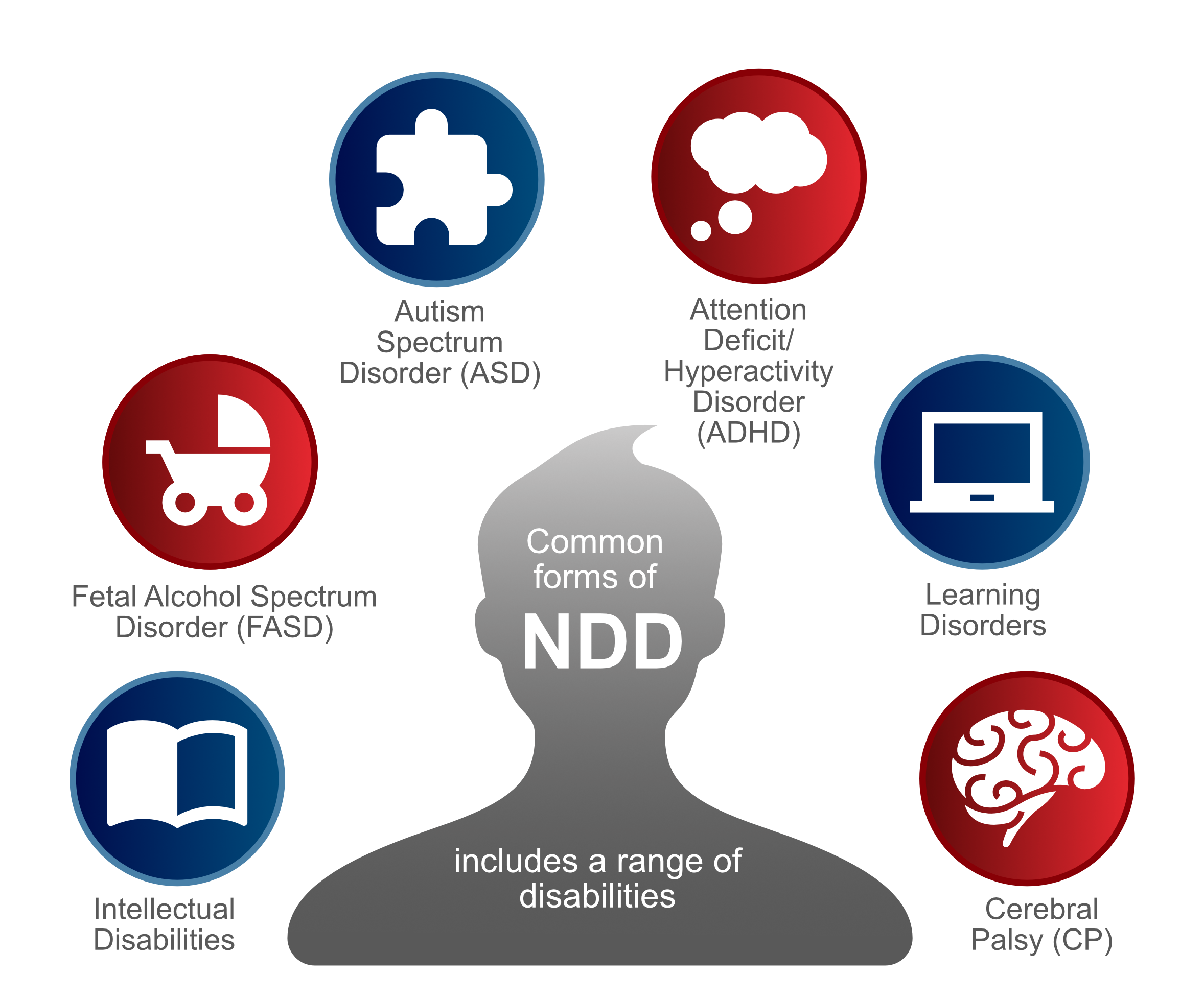 NDD And Mental Health What Are Neurodevelopmental Disabilities ACC ndd-and-mental-health-what-are-neurodevelopmental-disabilities-acc
